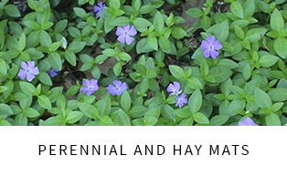 Prennial and hay mats