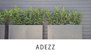 Adezz planters and interior decoration products