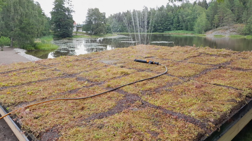 Valmis Nordic Green Roof maksaruohoviherkatto. Asentaja Eg-trading Oy.