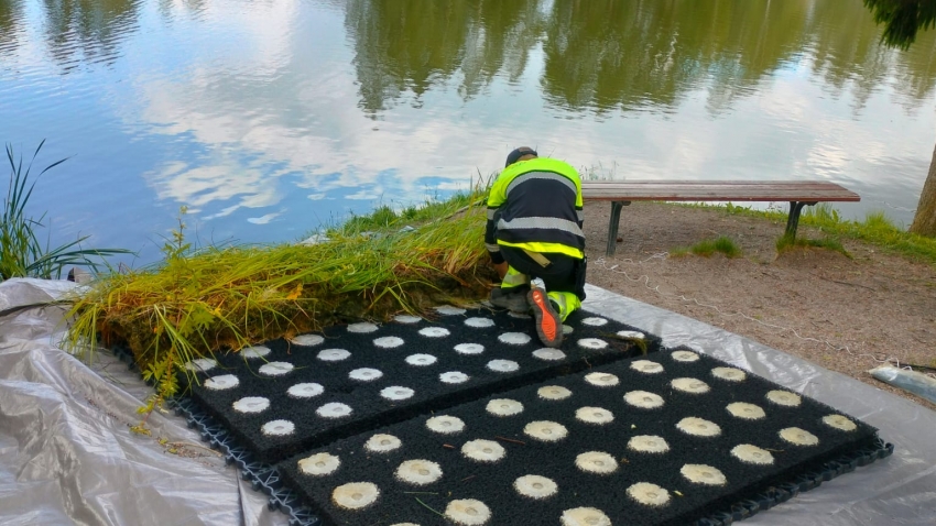 Lintusaaren kelluva pohjan päälle asenetaan vesikasvimattoa Jokelan lammen rannalla, pohjamateriaalina Ecoraster maakenno. Asentaja Eg-Trading Oy.