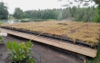 Valmis Nordic Green Roof maksaruohoviherkatto. Asentaja Eg-trading Oy.