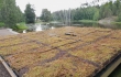 Valmis Nordic Green Roof maksaruohoviherkatto. Asentaja Eg-trading Oy.