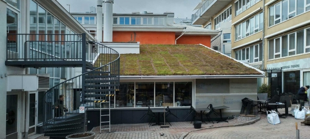 Siirtyminen referenssiin Casagrande-talon Nordic Green Roof maksaruohoviherkatto biopaneeleilla